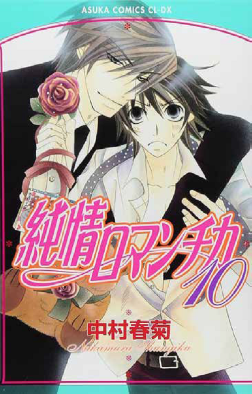 Junjo Romantica 10