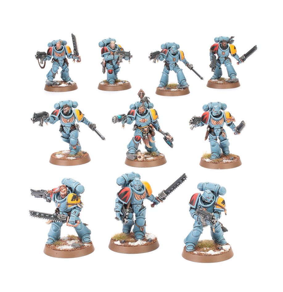 Cacciatori Grigi - Grey Hunters  - Space Wolves
