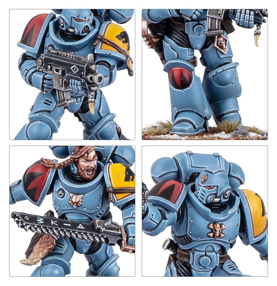 Cacciatori Grigi - Grey Hunters  - Space Wolves