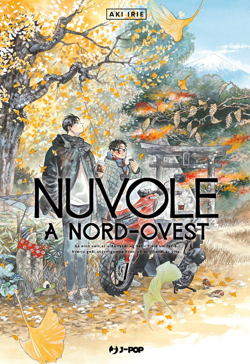 Nuvole a Nord-Ovest 7